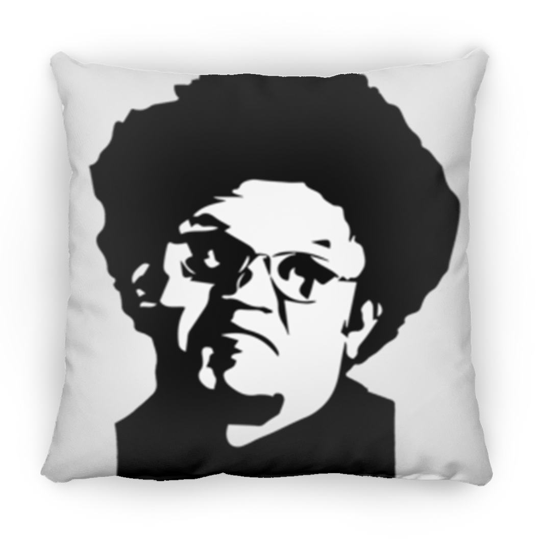 LIMITED EDITION “Defining Dingus Moment”  TWO SIDED 18x18 PILLOWS!