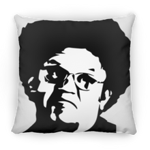 Load image into Gallery viewer, Defining Dingus 14x14 Pillow!